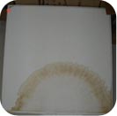 vertik travaux acrobatiques de nettoyage