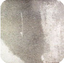 vertik travaux acrobatiques de nettoyage