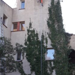 Ceiling Pro International france vertik nettoyage façade
